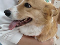 -联合动物医院(光谷诊疗中心)