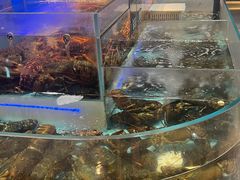 -同庆楼(滨湖万达广场店)