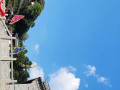 -梧州双钱龟苓膏(丽港航母店)