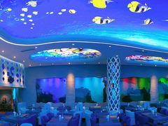 -瑞德姆美人鱼海底演艺主题餐厅(亚龙湾店)