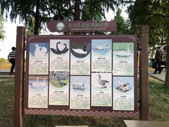 -宁波杭州湾国家湿地公园