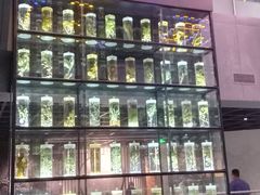 -广东中医药博物馆
