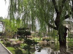 -湾里人家(旺山景区店)