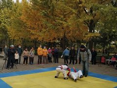 -玲珑塔公园