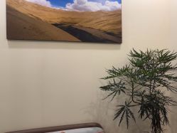 点击看大图 -北京米扬丽格医疗美容·联合丽格鼻整形中心