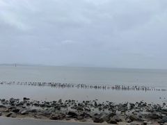 -深圳湾公园(南山区)