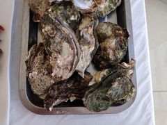-渔民船说·北塘海鲜·天津菜·海肠捞饭(北塘古镇店)