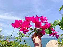 -加林娜泥浴水疗