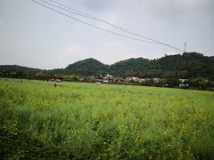 -红山村