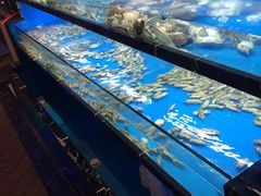 -甄品麦哲伦海鲜和牛自助(万达广场店)