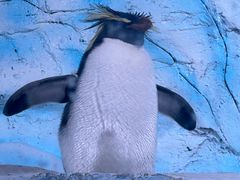 -海合安青岛极地海洋公园