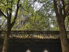 -武侯墓风景区