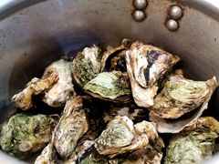 高压锅生蚝-庆合府重庆大排档(紫都城店)