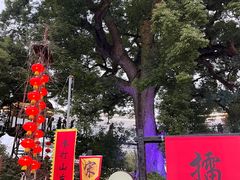 -杭州宋城