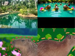 -海南热带野生动植物园