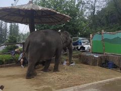 -大连森林动物园