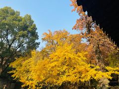 -苏州市天平山风景名胜区
