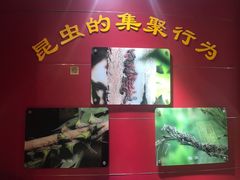-上海昆虫博物馆