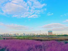 -尚贤河湿地
