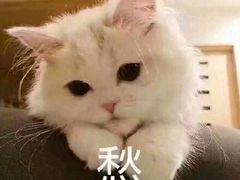-老乡鸡(南京新街口洪武北路店)