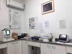 -利又安动物医院··老年病·猫科犬科·中兽医