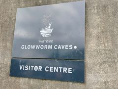 -怀托摩萤火虫洞