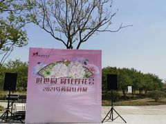 -扬州芍药园(仪征市)