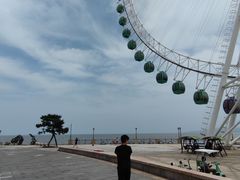 -青岛海泉湾度假区温泉
