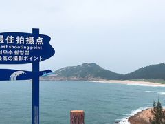 -广东惠东海龟国家级自然保护区