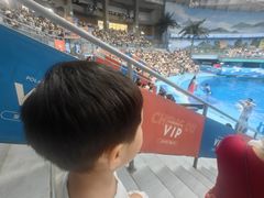 -海合安成都极地海洋公园