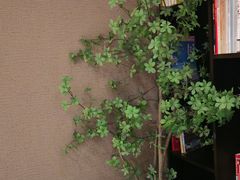 -水墨澜渟足道·SPA·传统(四望亭东关街店)