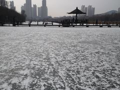 -前关湿地公园