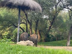 -北京野生动物园