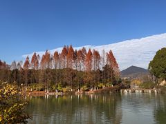 -南京珍珠泉风景区