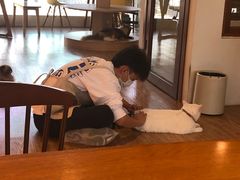 -猫小主咖啡·猫咖cat cafe(福田店)