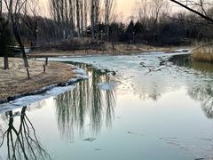 -奥林匹克森林公园南门-停车场