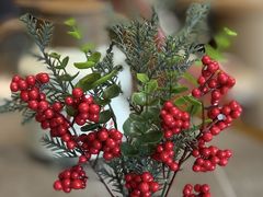 -奕景海鲜酒家· 大连海鲜(星海广场店)