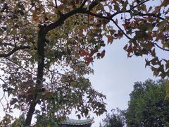 -东湖生态旅游风景区