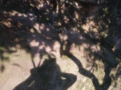 -缙云山景区
