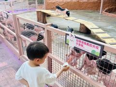 -深圳野生动物园