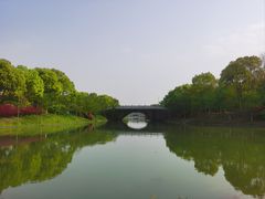 -上海海湾国家森林公园