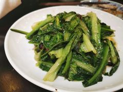 油麦菜-映像徐州(滨湖店)