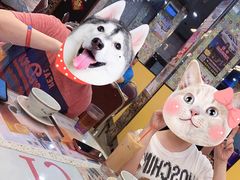 店里环境有点破破的-新辉港式茶餐厅(北栅店)