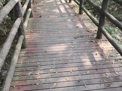 -木兰云雾山
