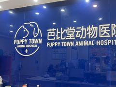 -芭比堂动物医院·24小时·眼科中心(深圳中心)