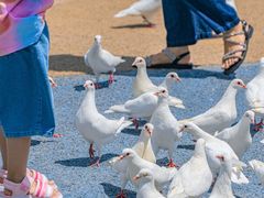 -烟台海昌鲸鲨海洋公园