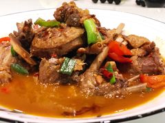 -汤山温泉房车营地 茶温泉