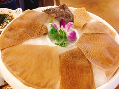 -红牌美蛙鱼头火锅(万辉国际广场店)