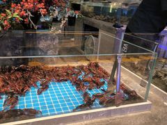 -一方渔歌蒸汽海鲜自助(文化路万达广场店)