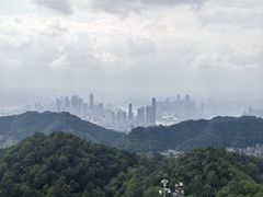 -南山植物园